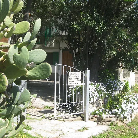 Oleandro Marciana (Isola d'Elba)