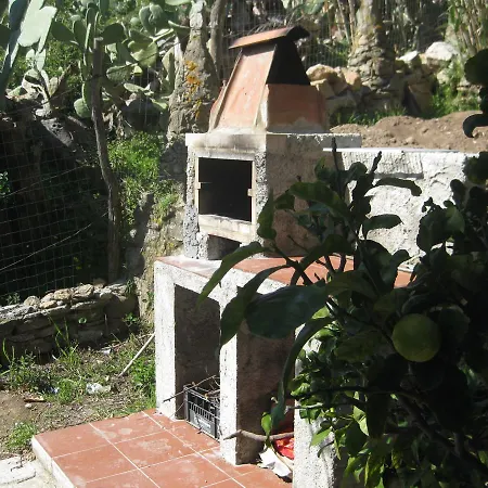 Oleandro